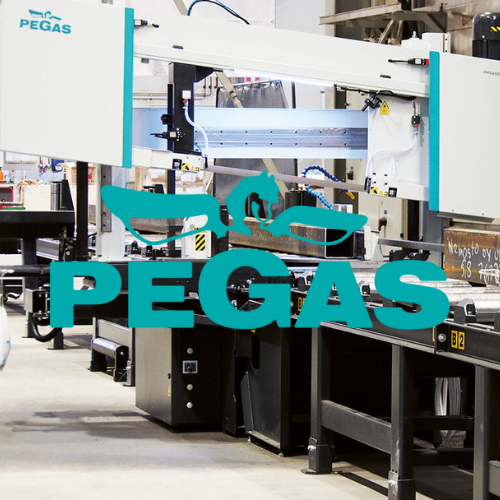 Pegas-Gonda