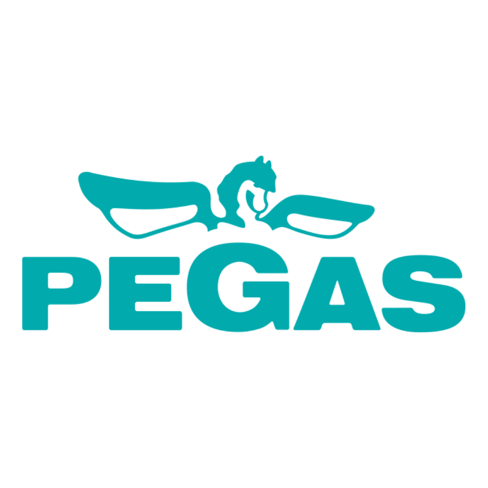 Pegas Gonda