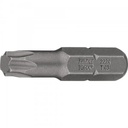 Hazet Bits, 5/16"- T40x35mm