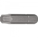 Hazet Bits, 5/16"- T45x35mm